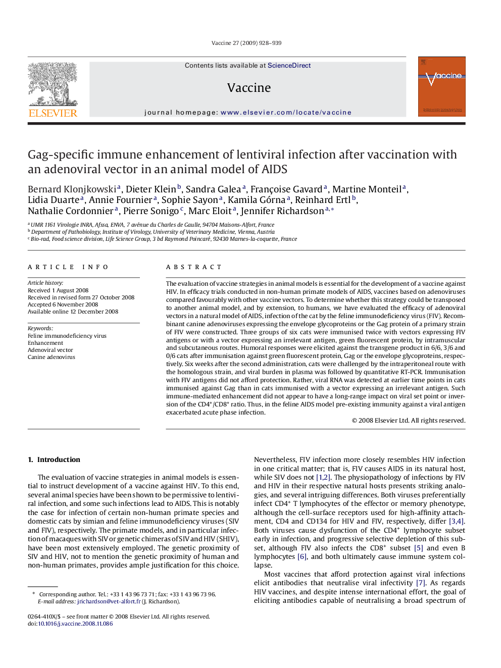 Gag-specific immune enhancement of lentiviral infection after vaccination with an adenoviral vector in an animal model of AIDS