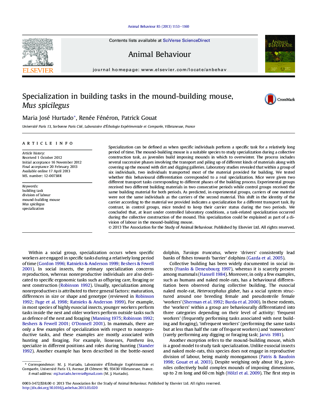 Specialization in building tasks in the mound-building mouse, Mus spicilegus