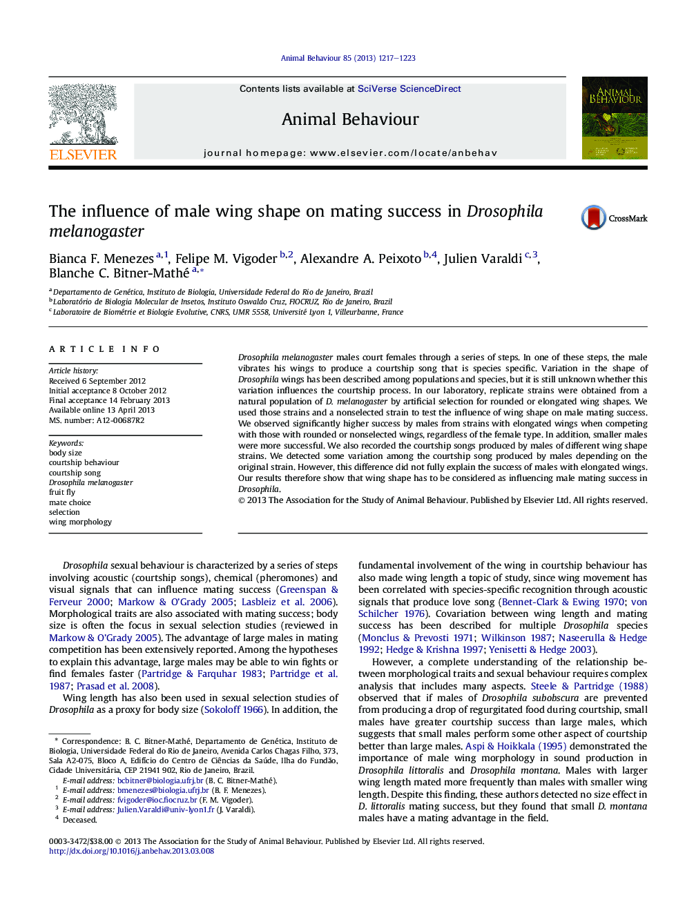 The influence of male wing shape on mating success in Drosophila melanogaster