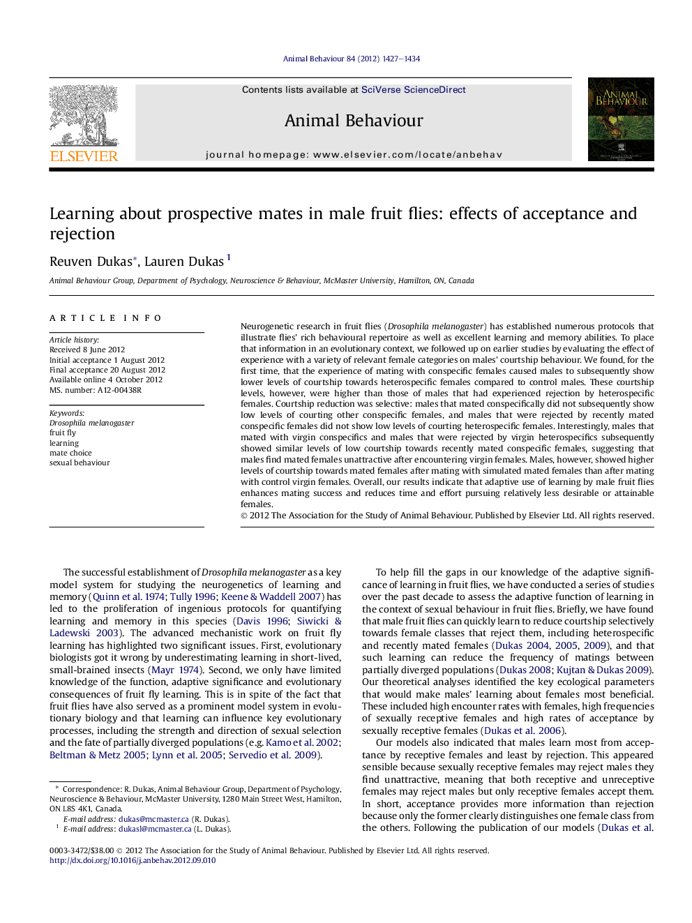 Learning about prospective mates in male fruit flies: effects of acceptance and rejection