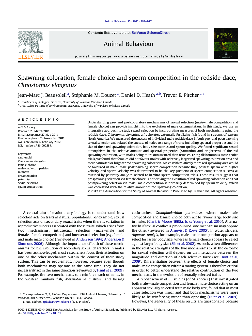 Spawning coloration, female choice and sperm competition in the redside dace, Clinostomus elongatus