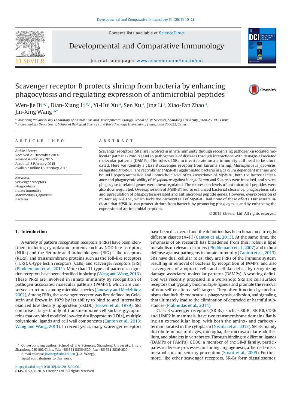 Scavenger receptor B protects shrimp from bacteria by enhancing phagocytosis and regulating expression of antimicrobial peptides