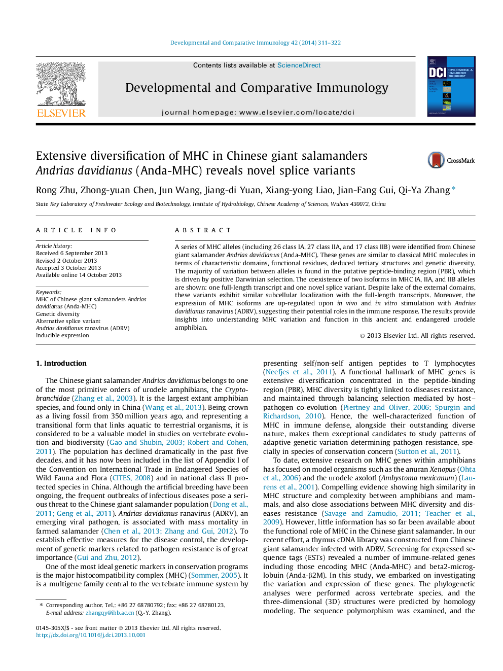 Extensive diversification of MHC in Chinese giant salamanders Andrias davidianus (Anda-MHC) reveals novel splice variants