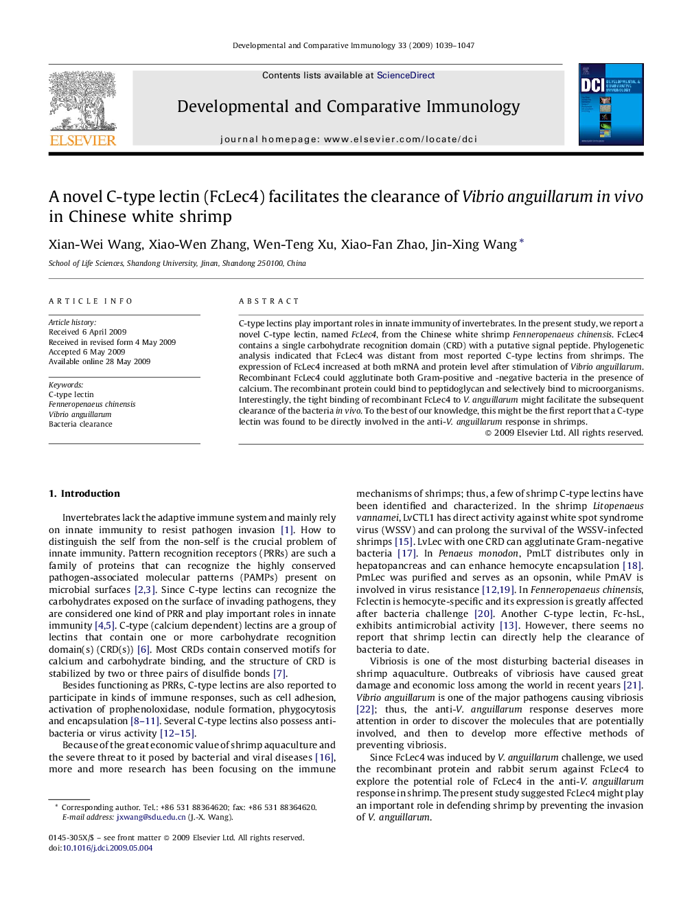 A novel C-type lectin (FcLec4) facilitates the clearance of Vibrio anguillarum in vivo in Chinese white shrimp