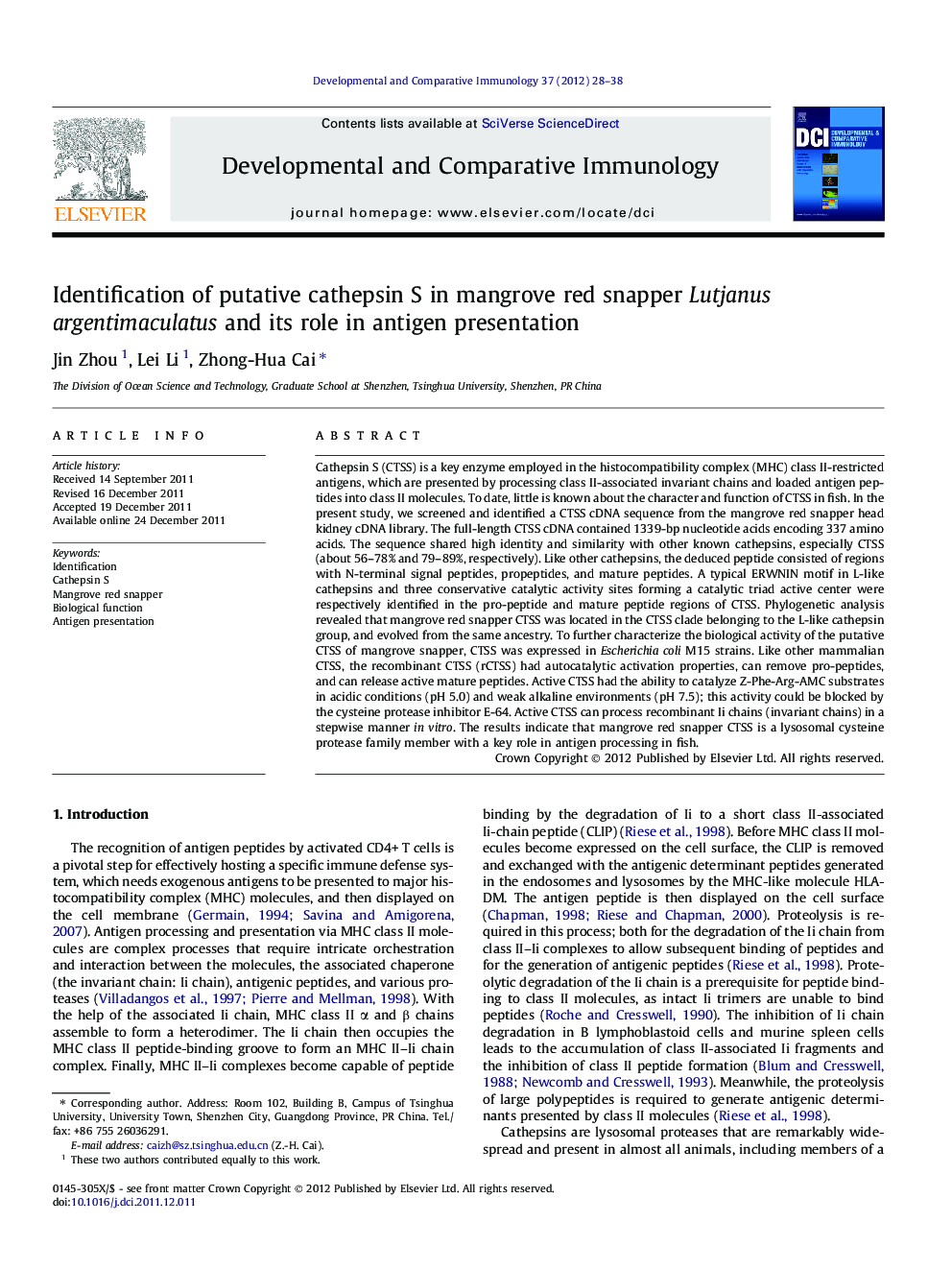 Identification of putative cathepsin S in mangrove red snapper Lutjanus argentimaculatus and its role in antigen presentation