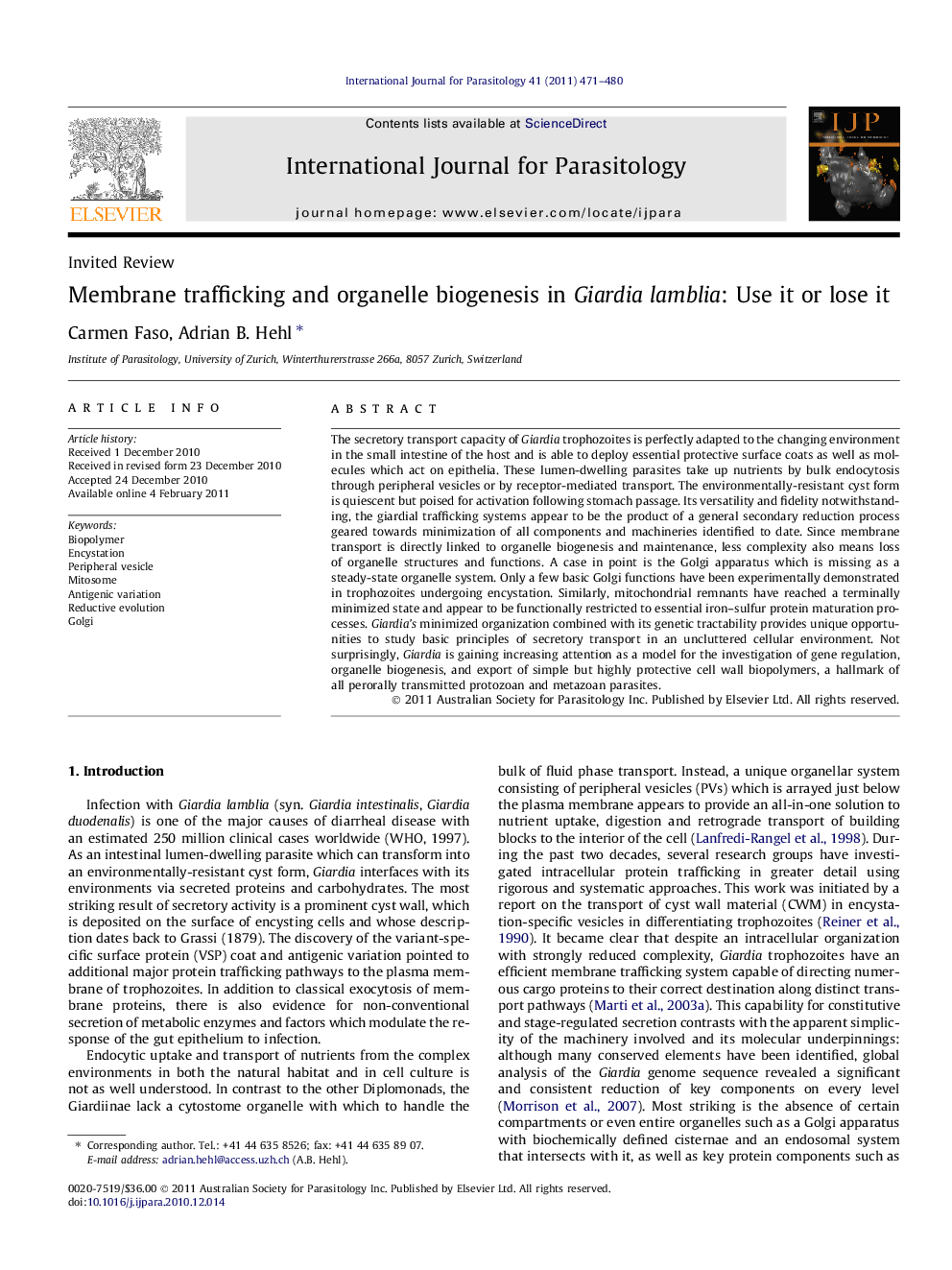 Membrane trafficking and organelle biogenesis in Giardia lamblia: Use it or lose it