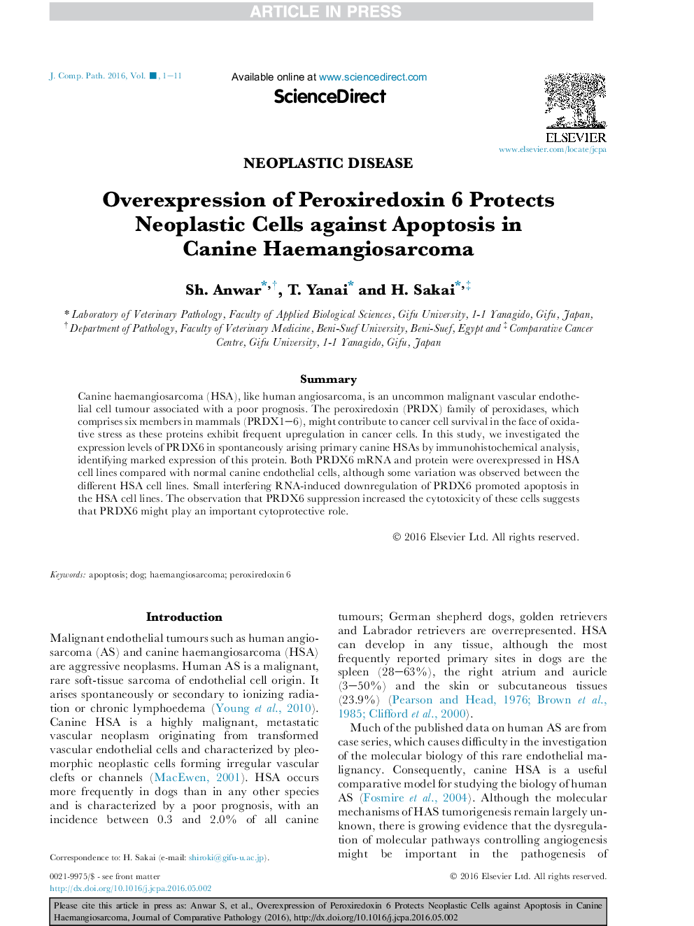 Overexpression of Peroxiredoxin 6 Protects Neoplastic Cells against Apoptosis in Canine Haemangiosarcoma