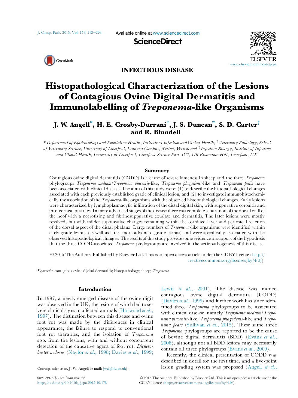 Histopathological Characterization of the Lesions of Contagious Ovine Digital Dermatitis and Immunolabelling of Treponema-like Organisms