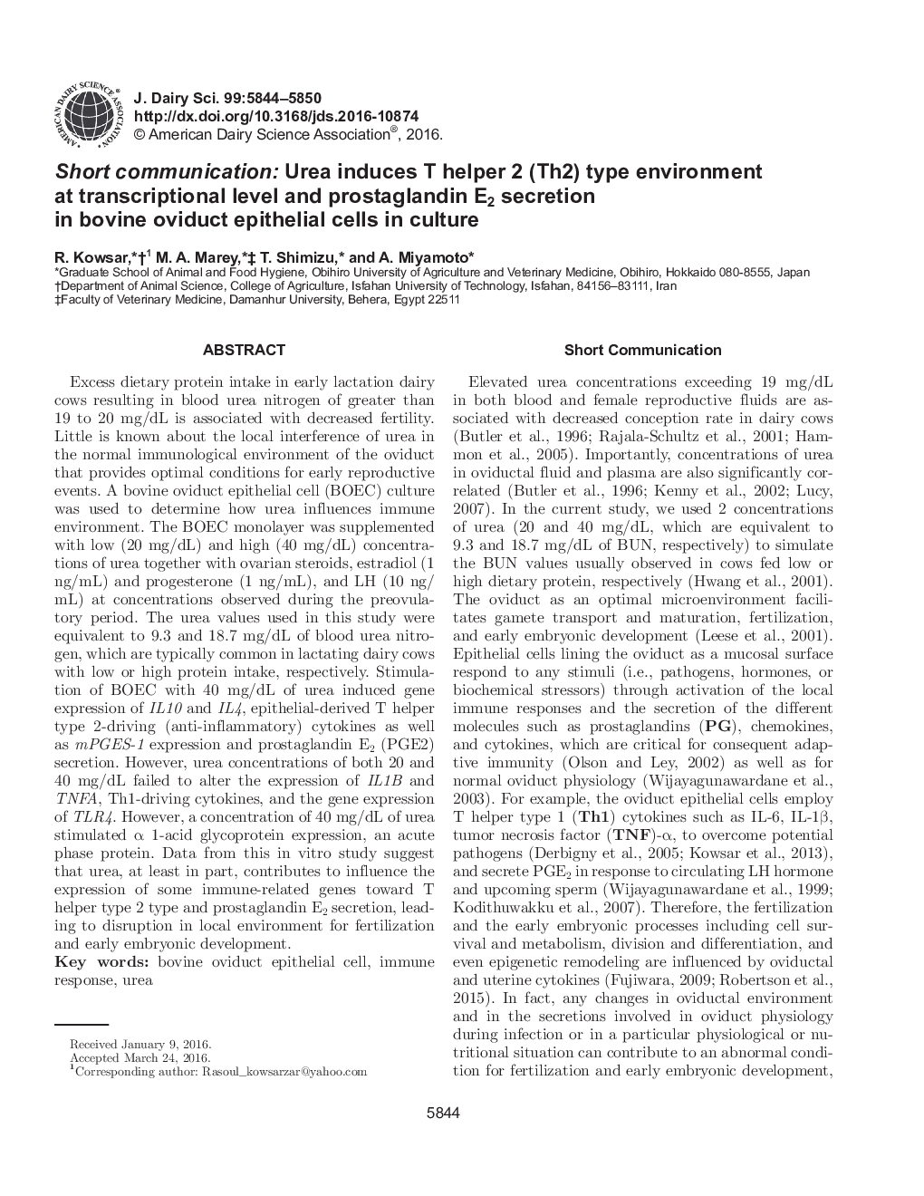 Short communication: Urea induces T helper 2 (Th2) type environment at transcriptional level and prostaglandin E2 secretion in bovine oviduct epithelial cells in culture