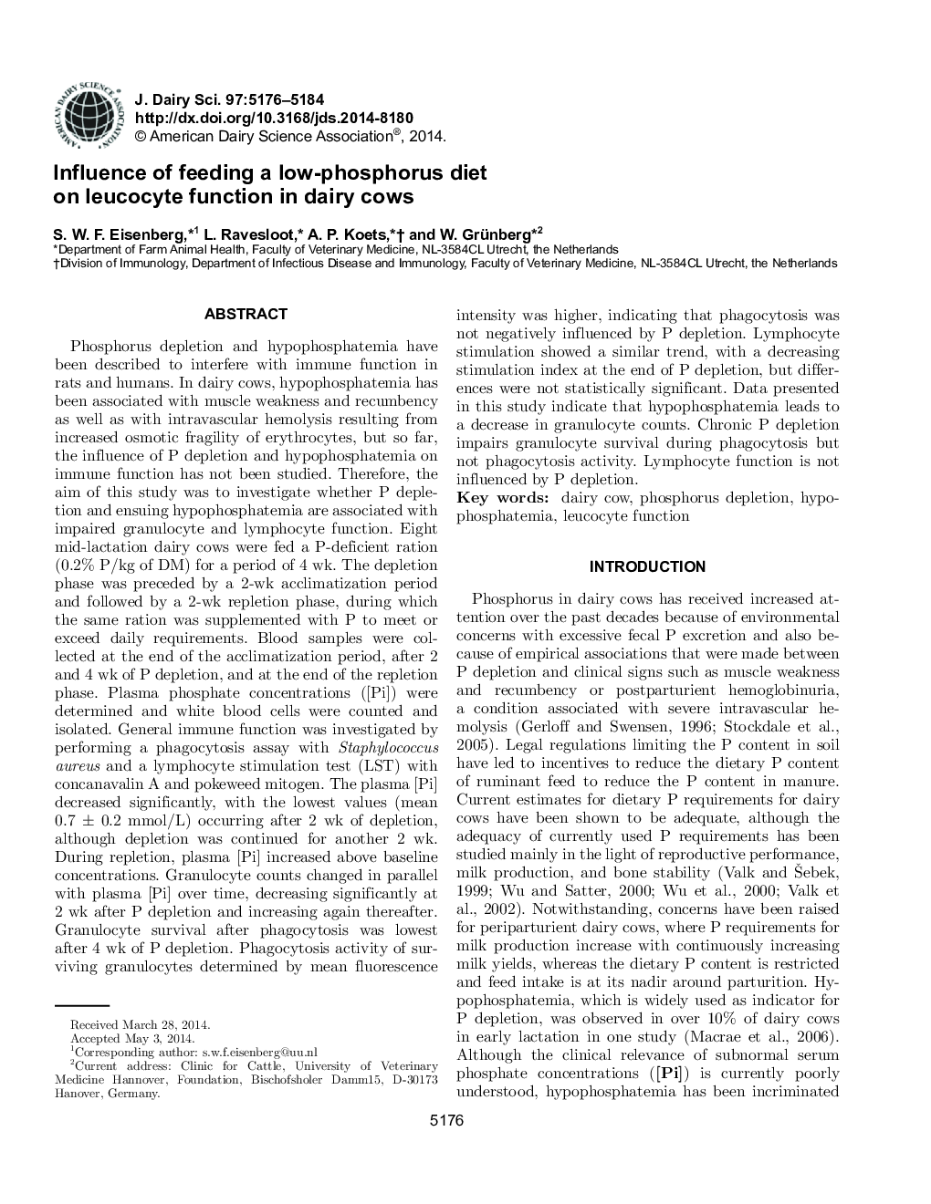 Influence of feeding a low-phosphorus diet on leucocyte function in dairy cows