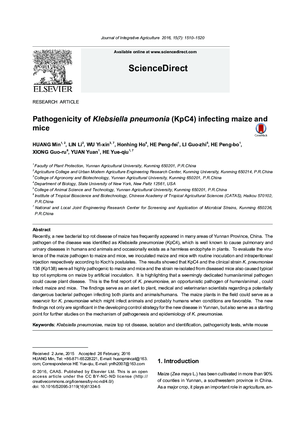Pathogenicity of Klebsiella pneumonia (KpC4) infecting maize and mice