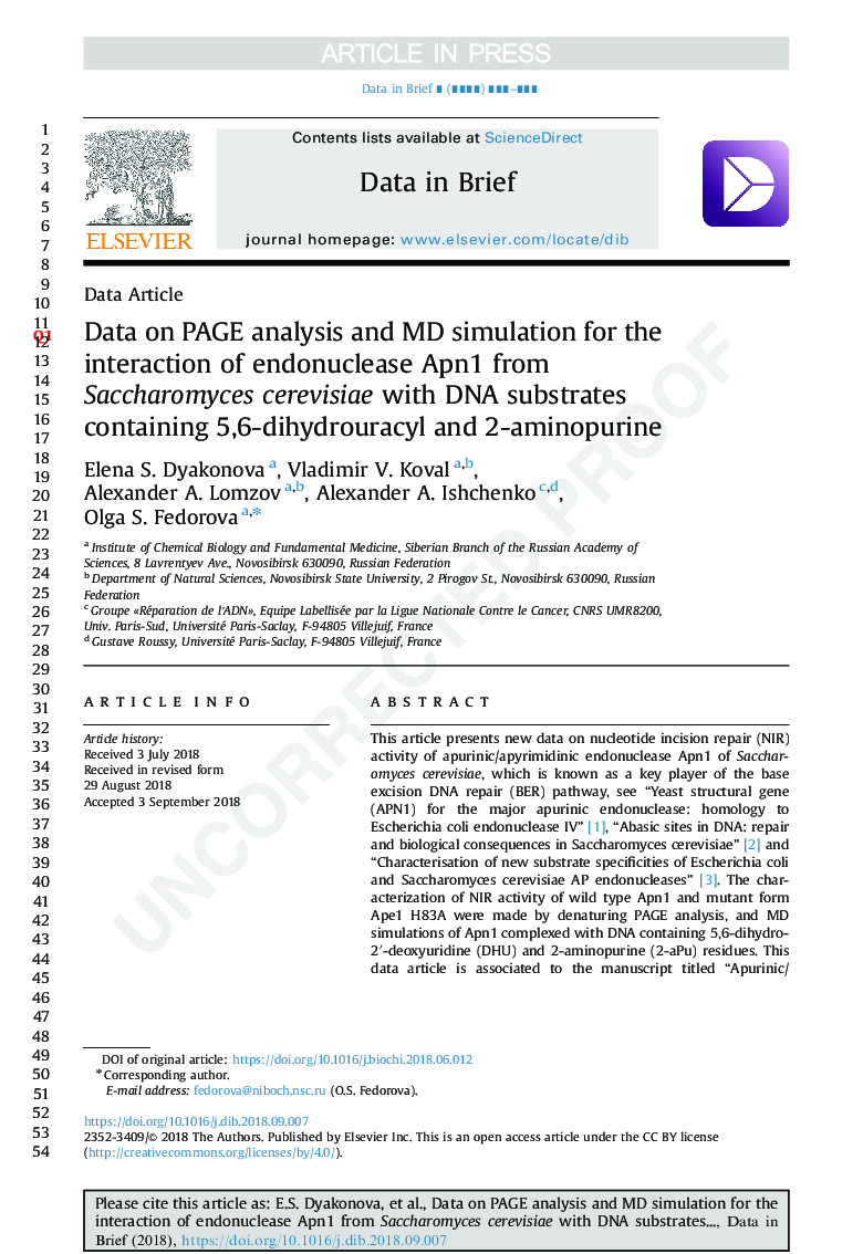 Data on PAGE analysis and MD simulation for the interaction of endonuclease Apn1 from Saccharomyces cerevisiae with DNA substrates containing 5,6-dihydrouracyl and 2-aminopurine