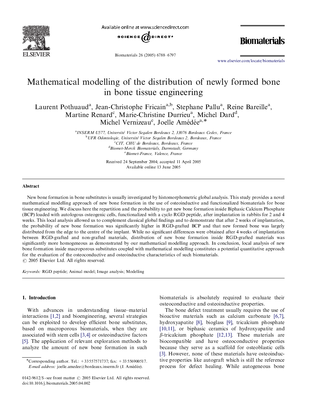 Mathematical modelling of the distribution of newly formed bone in bone tissue engineering