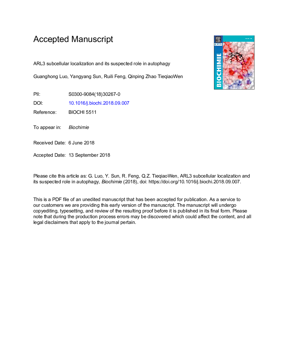 ARL3 subcellular localization and its suspected role in autophagy