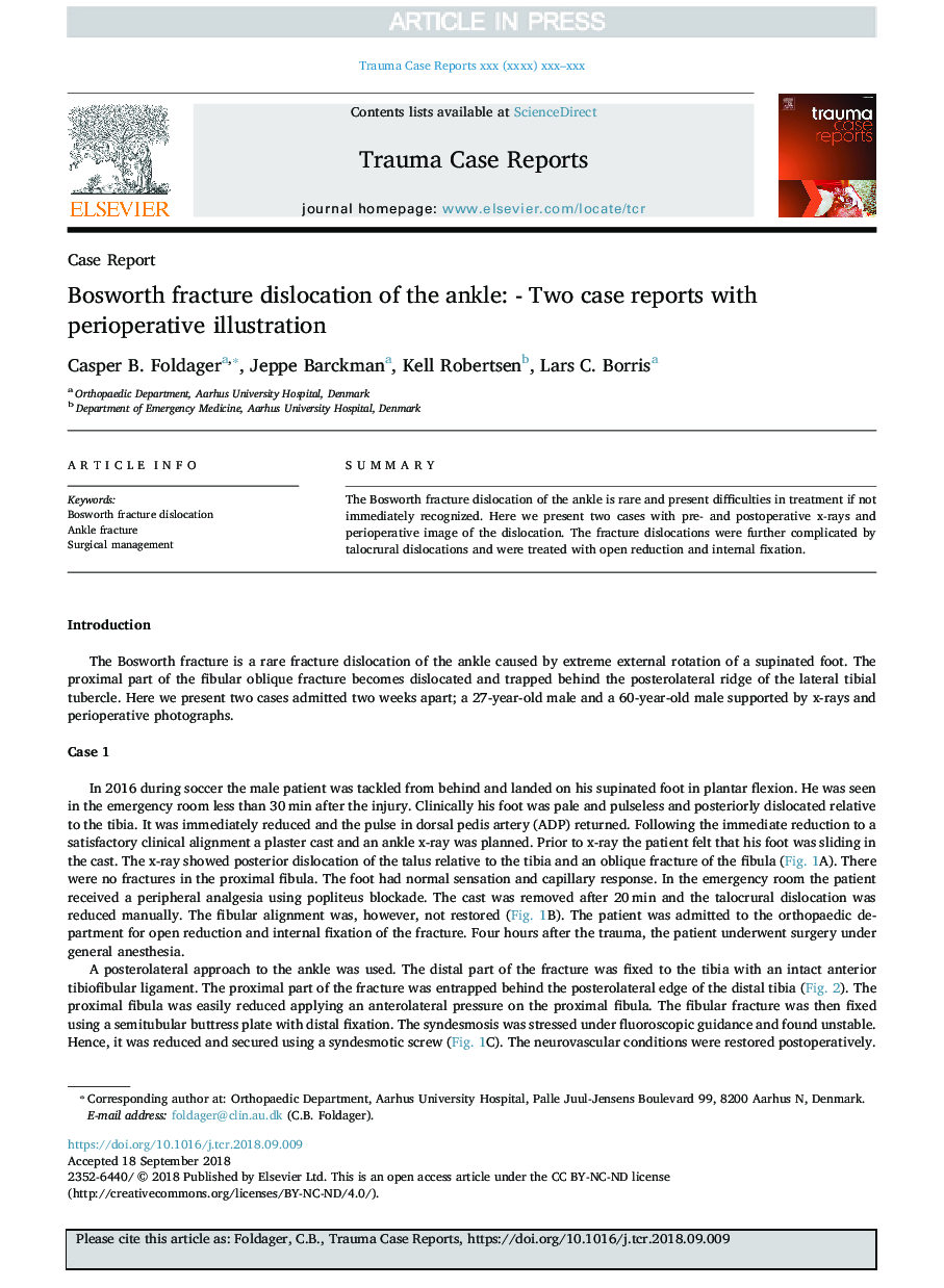 Bosworth fracture dislocation of the ankle: - Two case reports with perioperative illustration