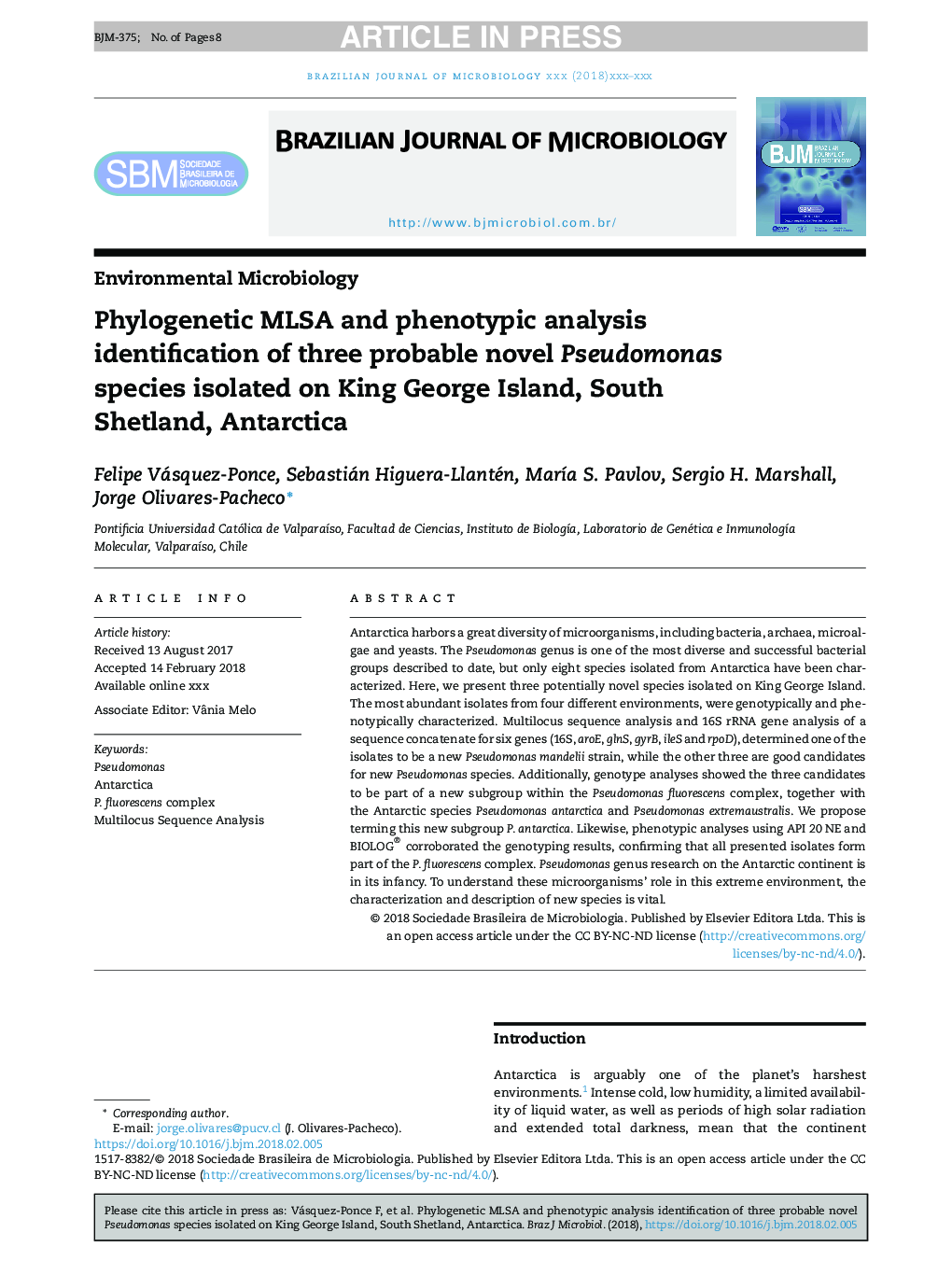 Phylogenetic MLSA and phenotypic analysis identification of three probable novel Pseudomonas species isolated on King George Island, South Shetland, Antarctica