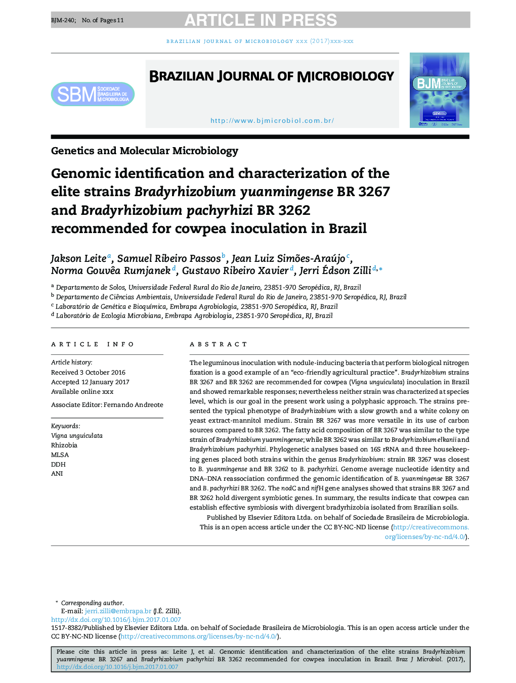 Genomic identification and characterization of the elite strains Bradyrhizobium yuanmingense BR 3267 and Bradyrhizobium pachyrhizi BR 3262 recommended for cowpea inoculation in Brazil
