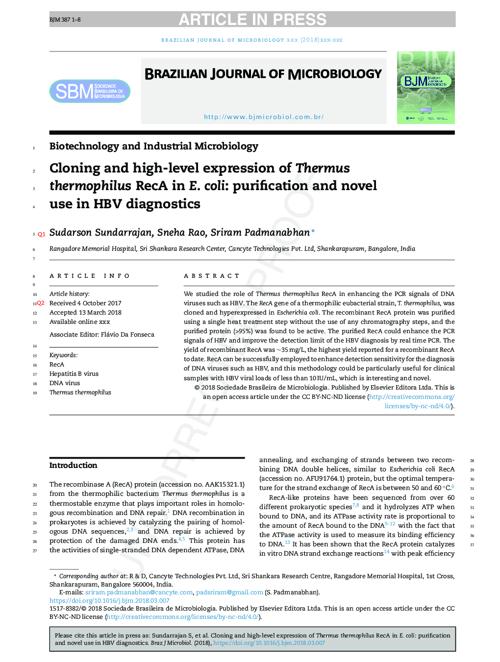 Cloning and high-level expression of Thermus thermophilus RecA in E. coli: purification and novel use in HBV diagnostics