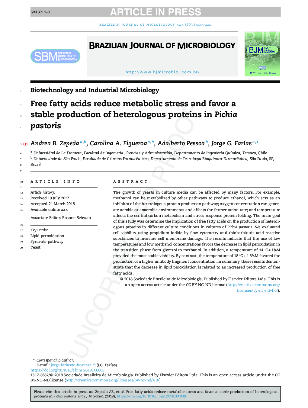 Free fatty acids reduce metabolic stress and favor a stable production of heterologous proteins in Pichia pastoris