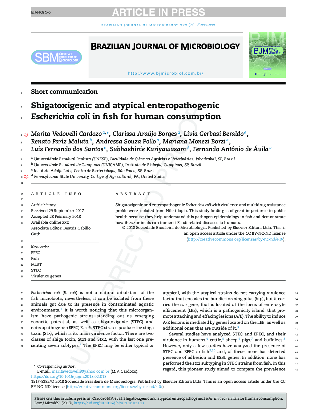 Shigatoxigenic and atypical enteropathogenic Escherichia coli in fish for human consumption