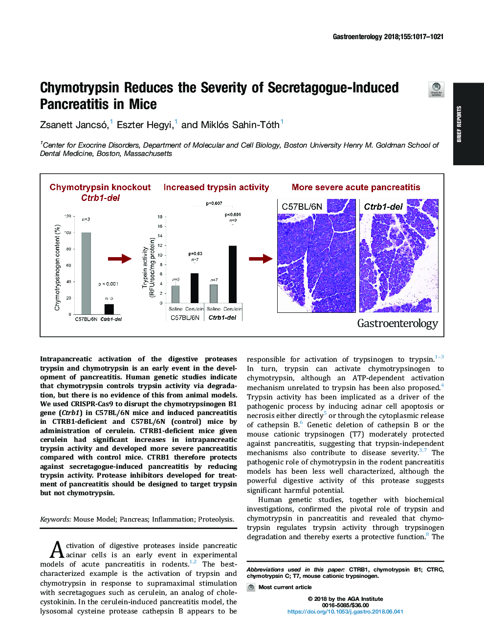 Chymotrypsin Reduces the Severity of Secretagogue-Induced Pancreatitis in Mice