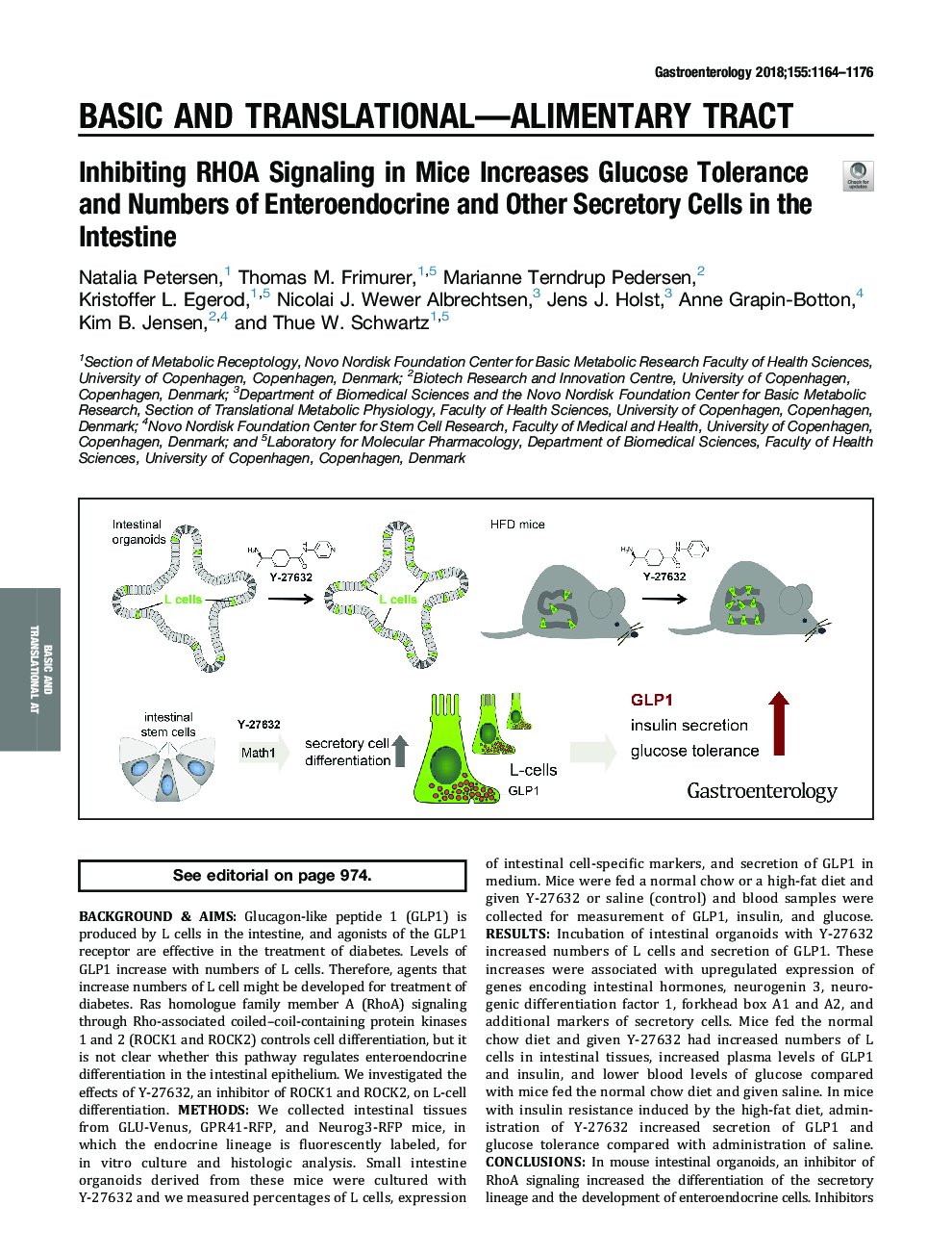 Inhibiting RHOA Signaling in Mice Increases Glucose Tolerance and Numbers of Enteroendocrine and Other Secretory Cells in the Intestine