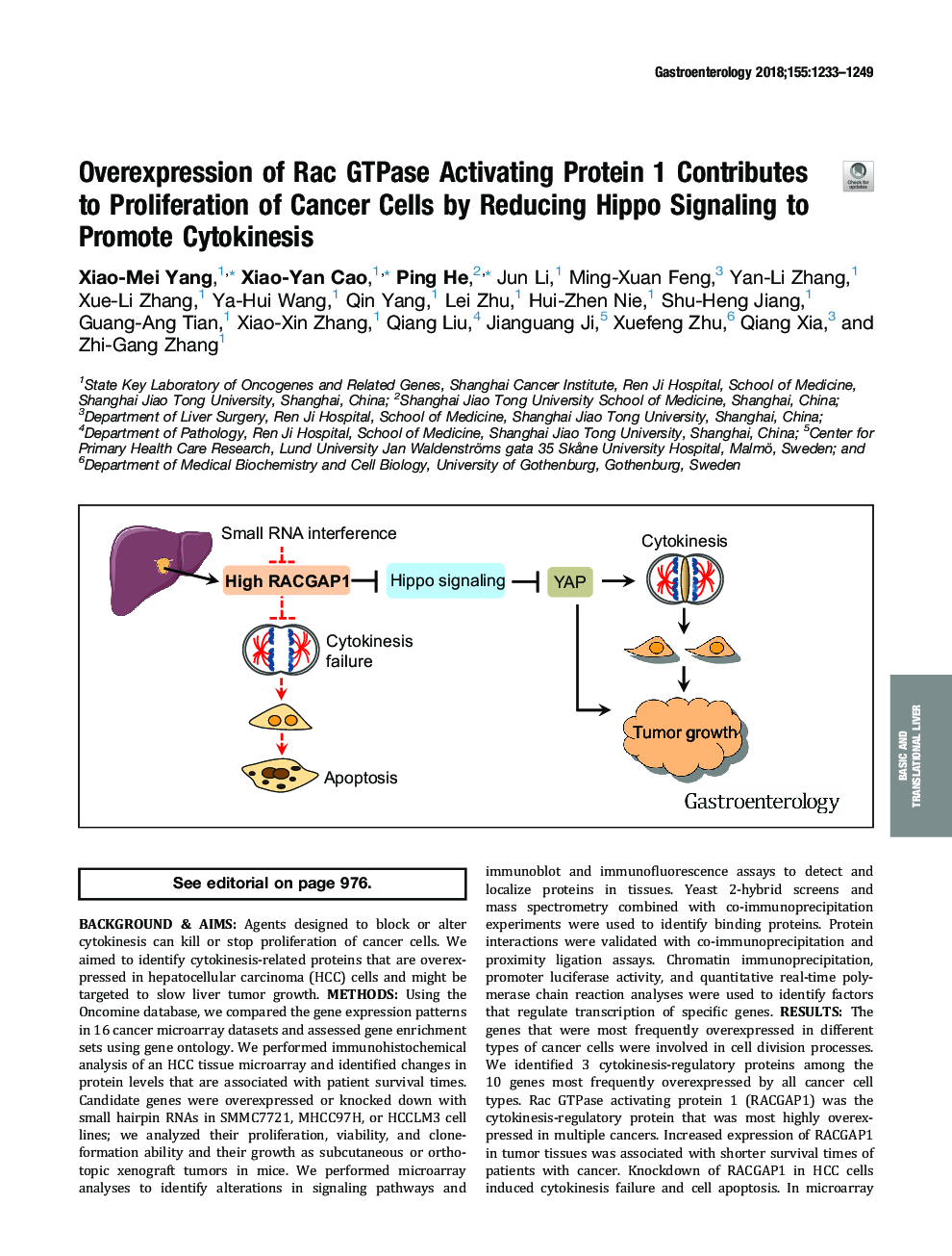 Overexpression of Rac GTPase Activating Protein 1 Contributes to Proliferation of Cancer Cells by Reducing Hippo Signaling to Promote Cytokinesis