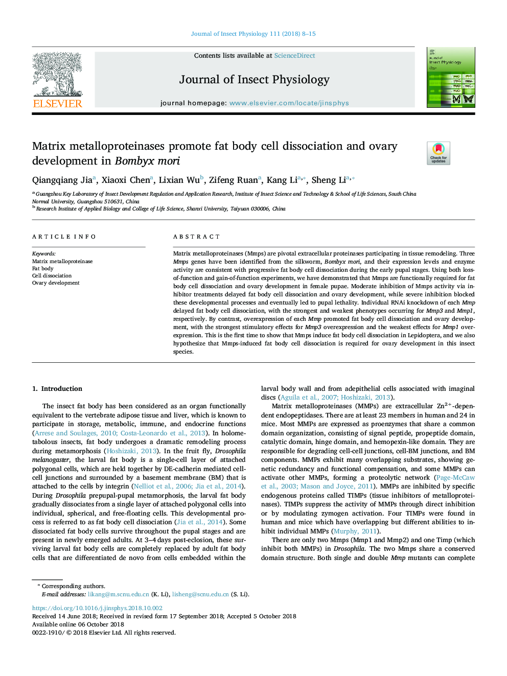 Matrix metalloproteinases promote fat body cell dissociation and ovary development in Bombyx mori