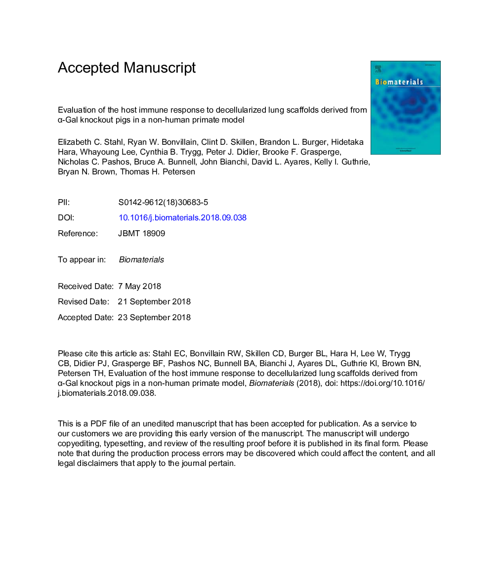 Evaluation of the host immune response to decellularized lung scaffolds derived from Î±-Gal knockout pigs in a non-human primate model