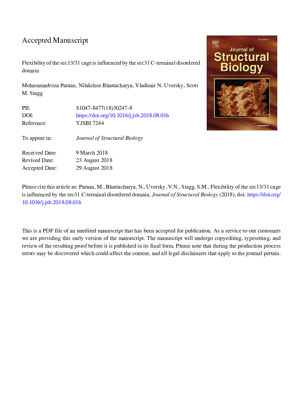 Flexibility of the Sec13/31 cage is influenced by the Sec31 C-terminal disordered domain