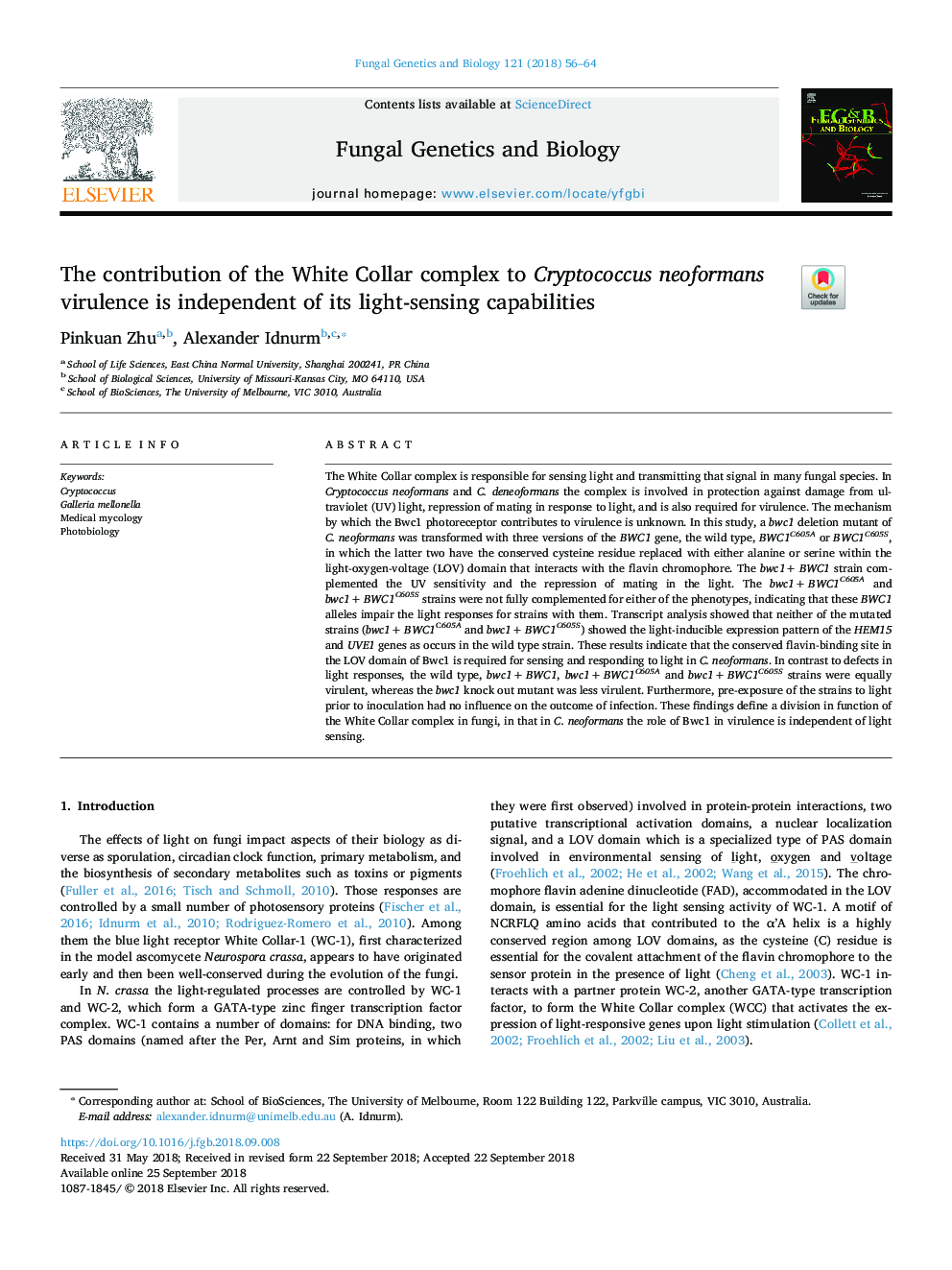 The contribution of the White Collar complex to Cryptococcus neoformans virulence is independent of its light-sensing capabilities