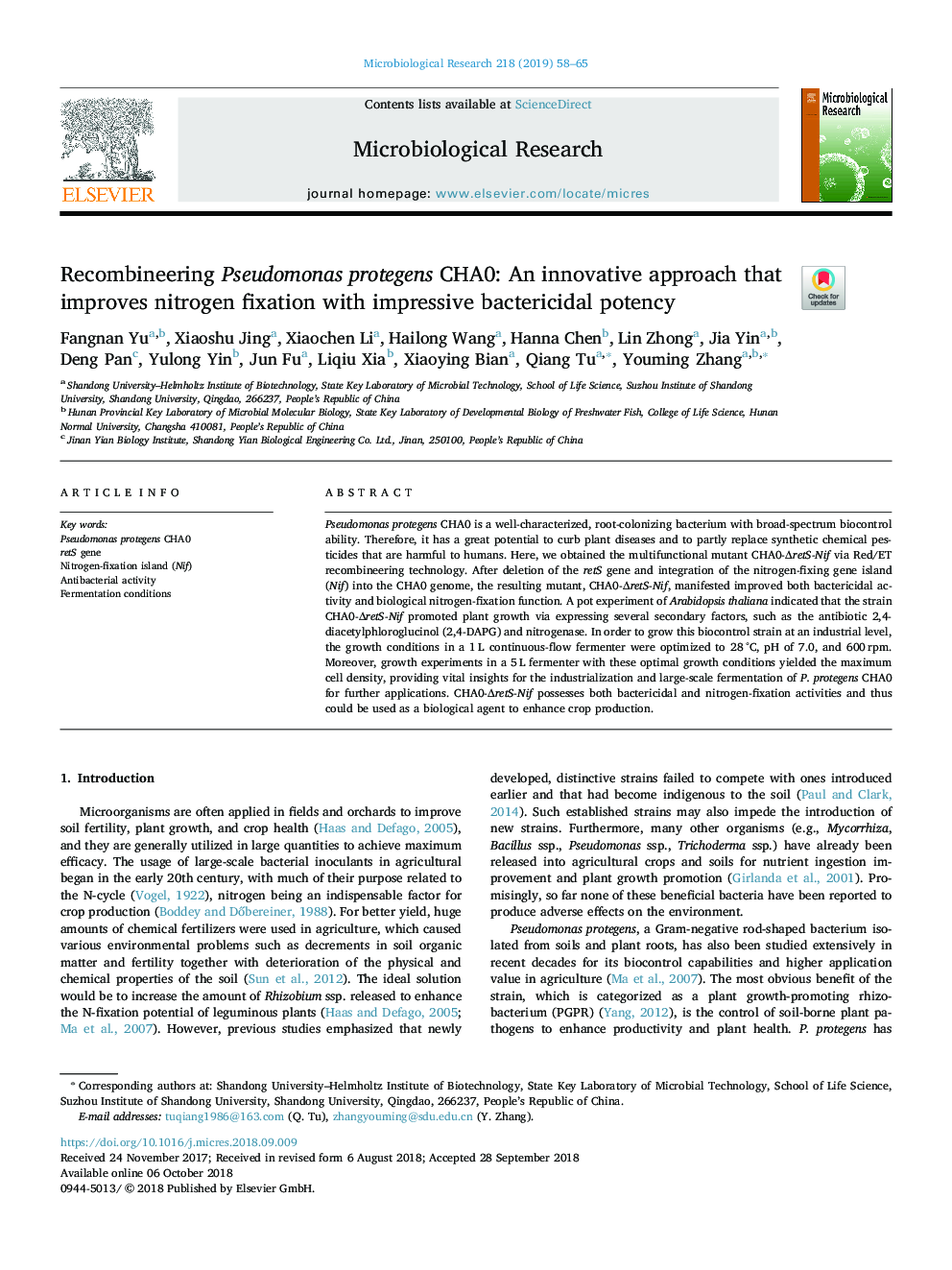 Recombineering Pseudomonas protegens CHA0: An innovative approach that improves nitrogen fixation with impressive bactericidal potency