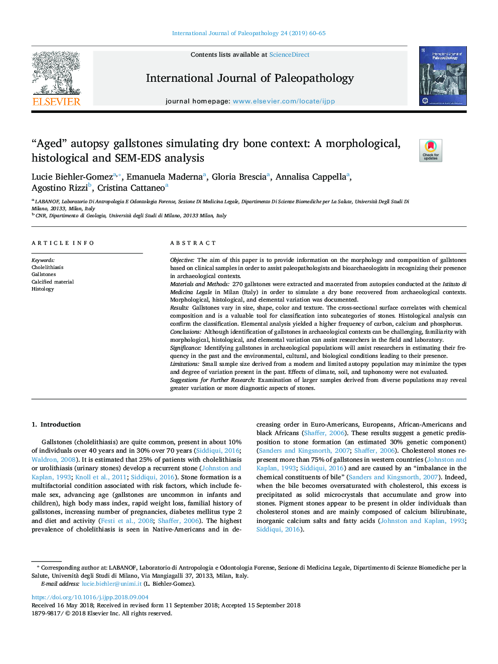 “Aged” autopsy gallstones simulating dry bone context: A morphological, histological and SEM-EDS analysis