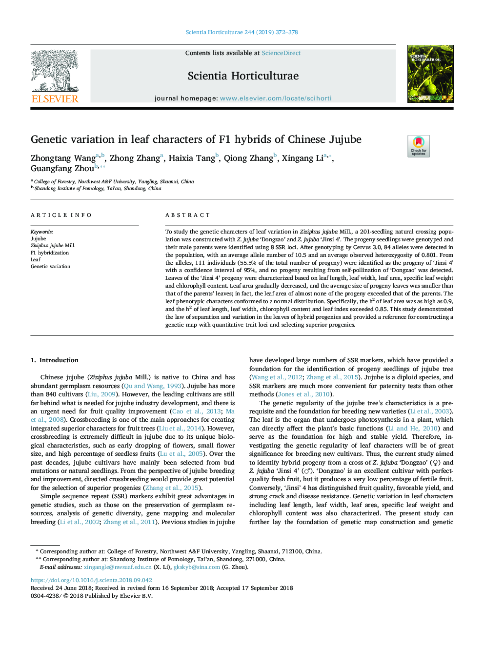 Genetic variation in leaf characters of F1 hybrids of Chinese Jujube