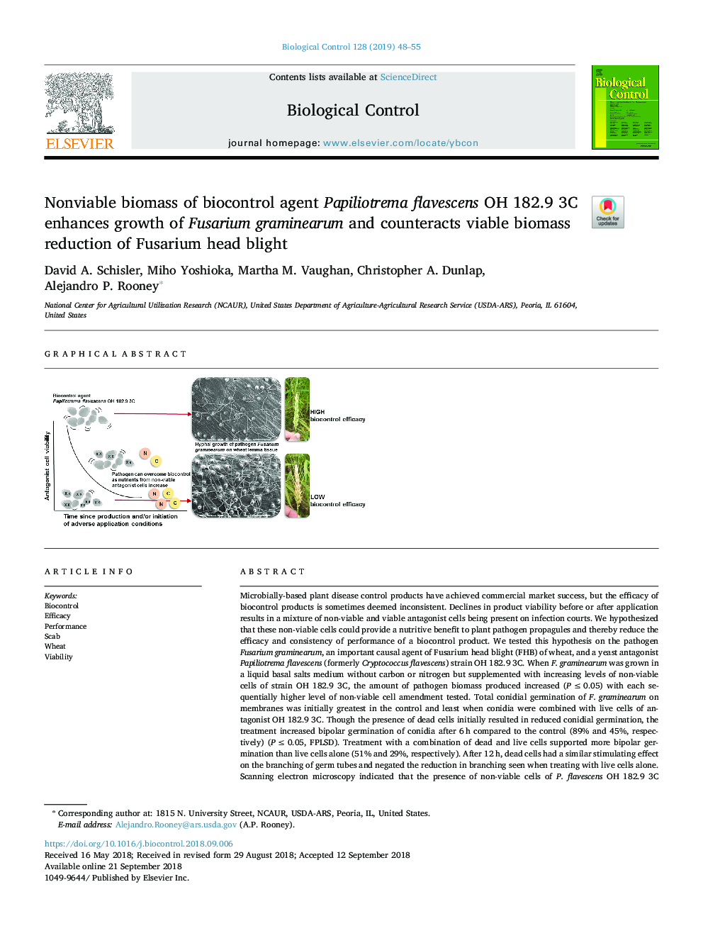 Nonviable biomass of biocontrol agent Papiliotrema flavescens OH 182.9 3C enhances growth of Fusarium graminearum and counteracts viable biomass reduction of Fusarium head blight
