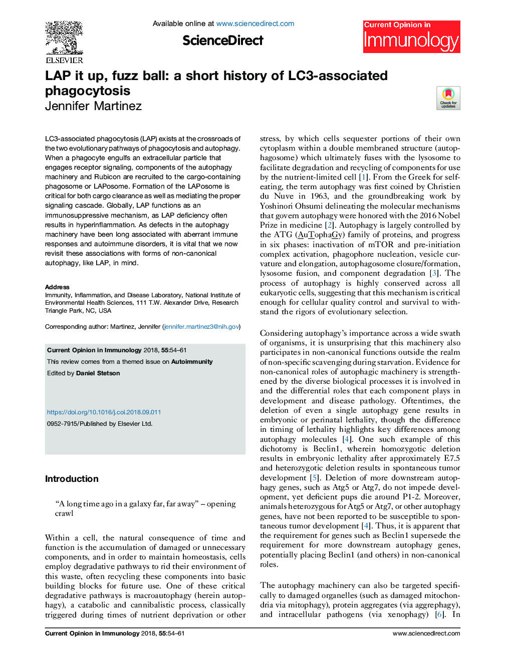 LAP it up, fuzz ball: a short history of LC3-associated phagocytosis