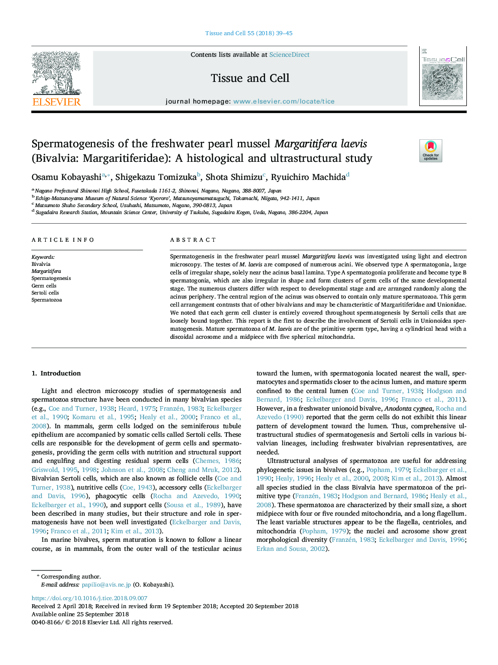 Spermatogenesis of the freshwater pearl mussel Margaritifera laevis (Bivalvia: Margaritiferidae): A histological and ultrastructural study