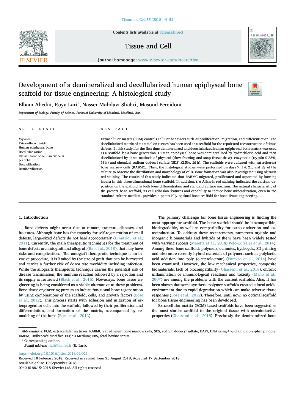 Development of a demineralized and decellularized human epiphyseal bone scaffold for tissue engineering: A histological study