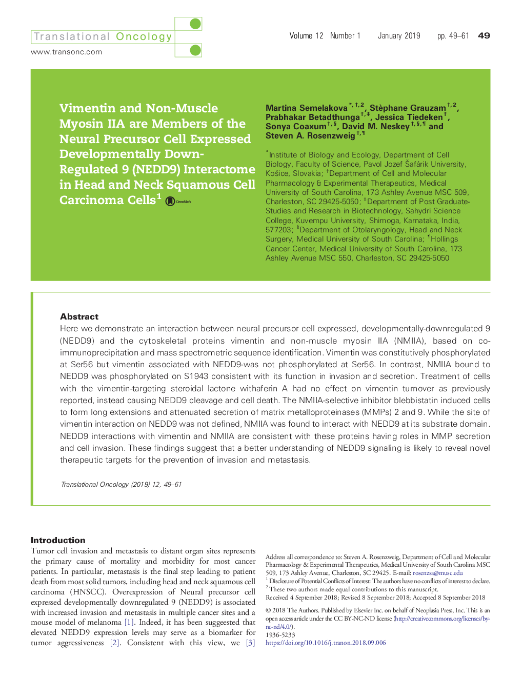 Vimentin and Non-Muscle Myosin IIA are Members of the Neural Precursor Cell Expressed Developmentally Down-Regulated 9 (NEDD9) Interactome in Head and Neck Squamous Cell Carcinoma Cells