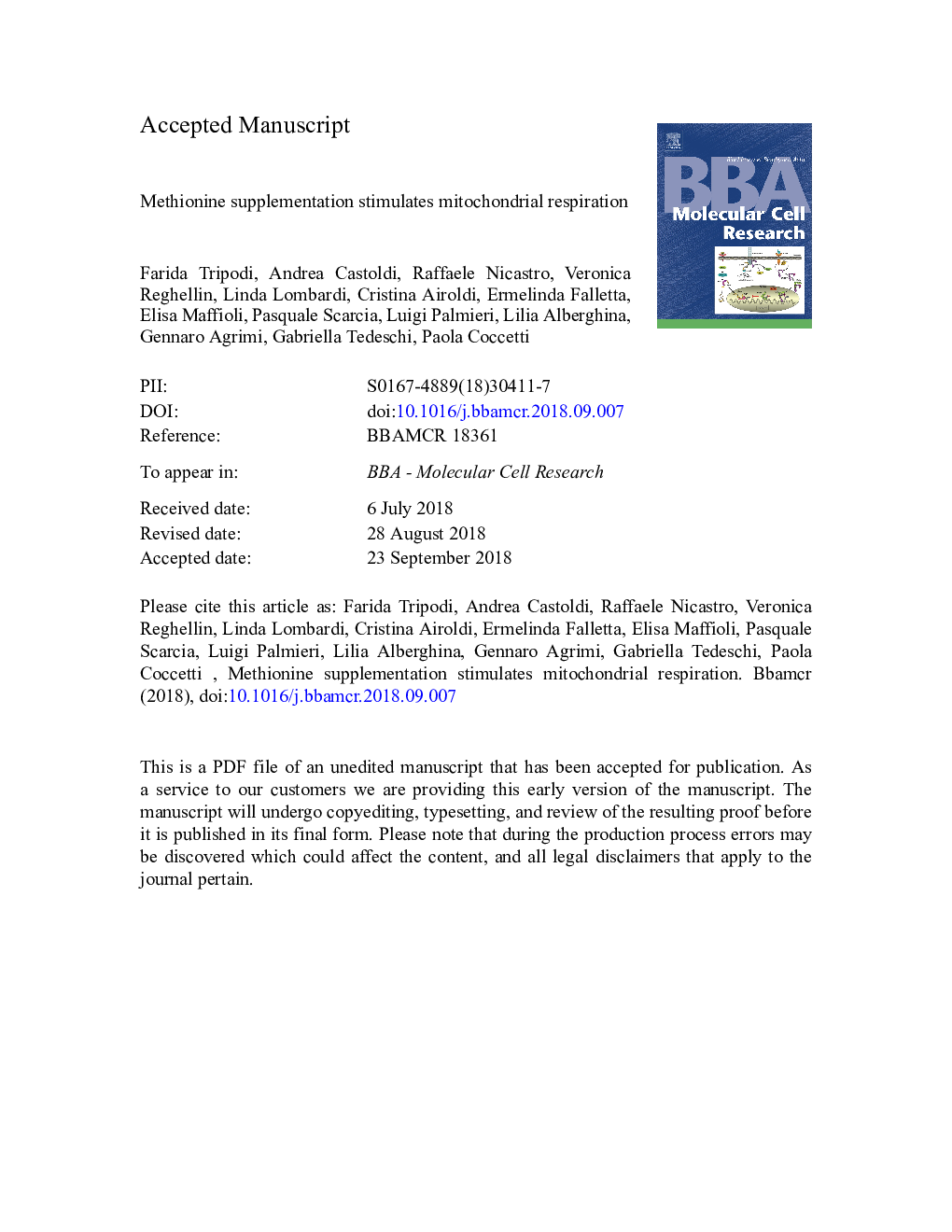 Methionine supplementation stimulates mitochondrial respiration