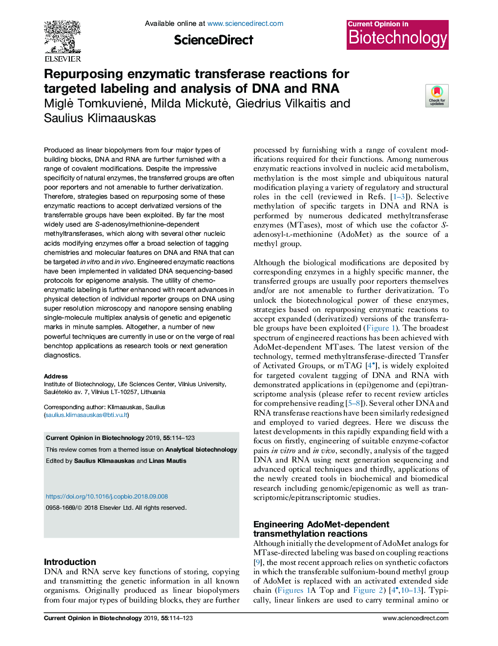 Repurposing enzymatic transferase reactions for targeted labeling and analysis of DNA and RNA