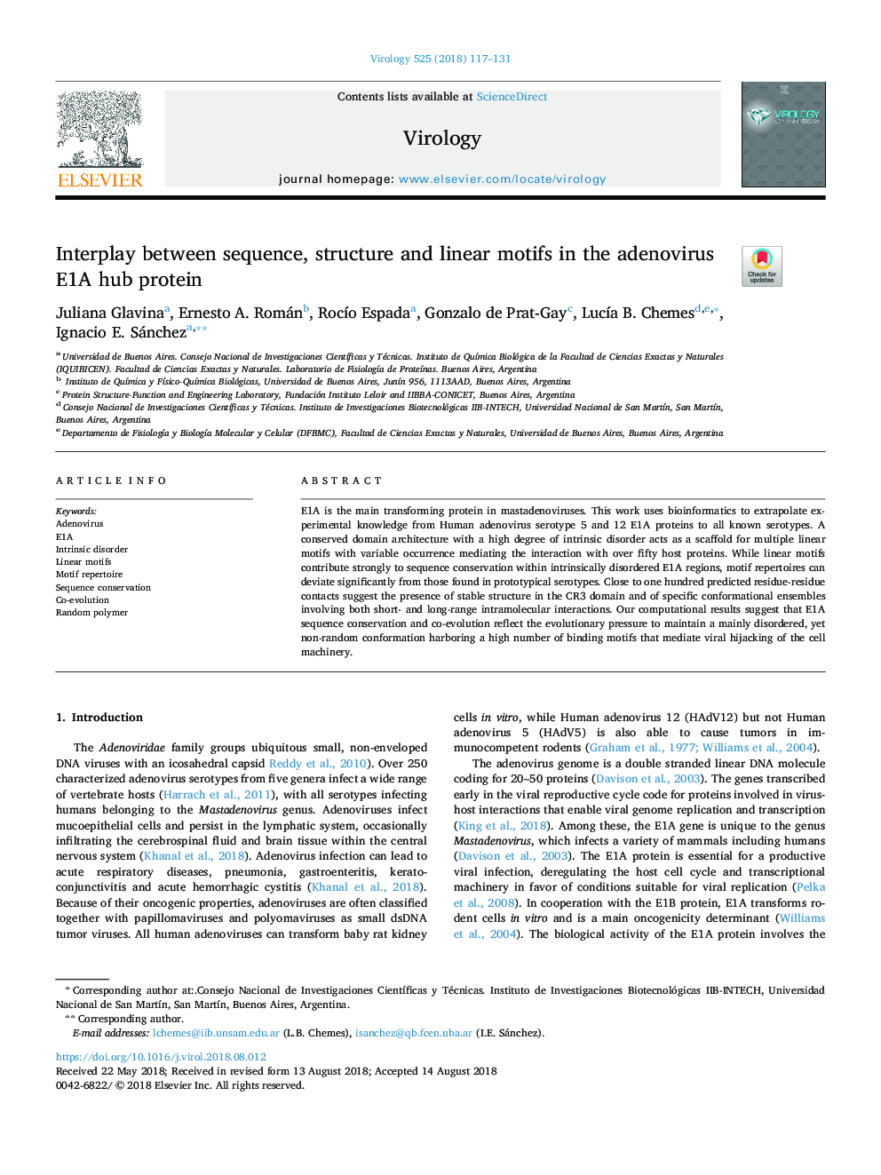 Interplay between sequence, structure and linear motifs in the adenovirus E1A hub protein