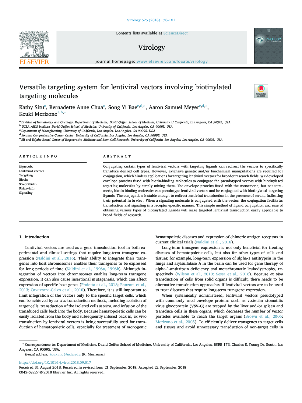 Versatile targeting system for lentiviral vectors involving biotinylated targeting molecules