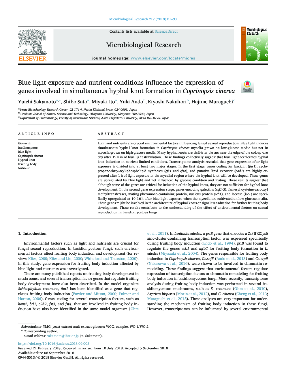 Blue light exposure and nutrient conditions influence the expression of genes involved in simultaneous hyphal knot formation in Coprinopsis cinerea