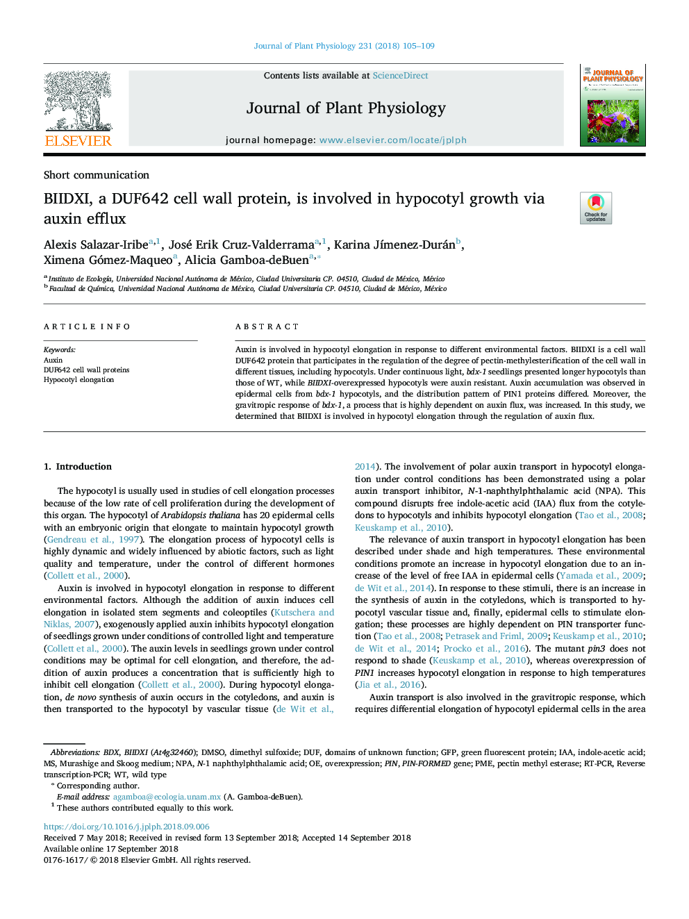 BIIDXI, a DUF642 cell wall protein, is involved in hypocotyl growth via auxin efflux