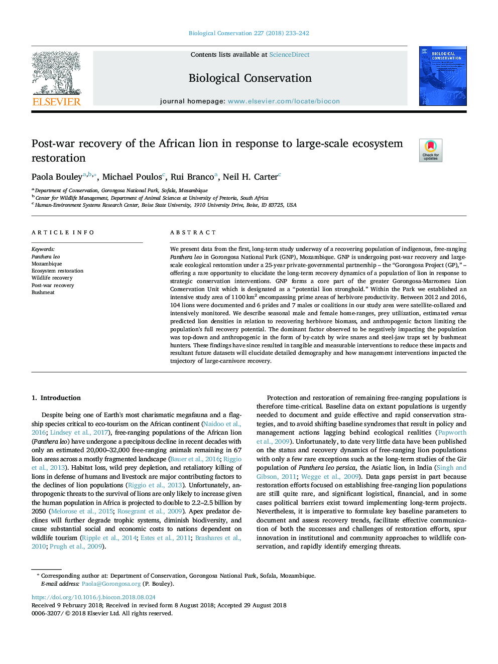 Post-war recovery of the African lion in response to large-scale ecosystem restoration