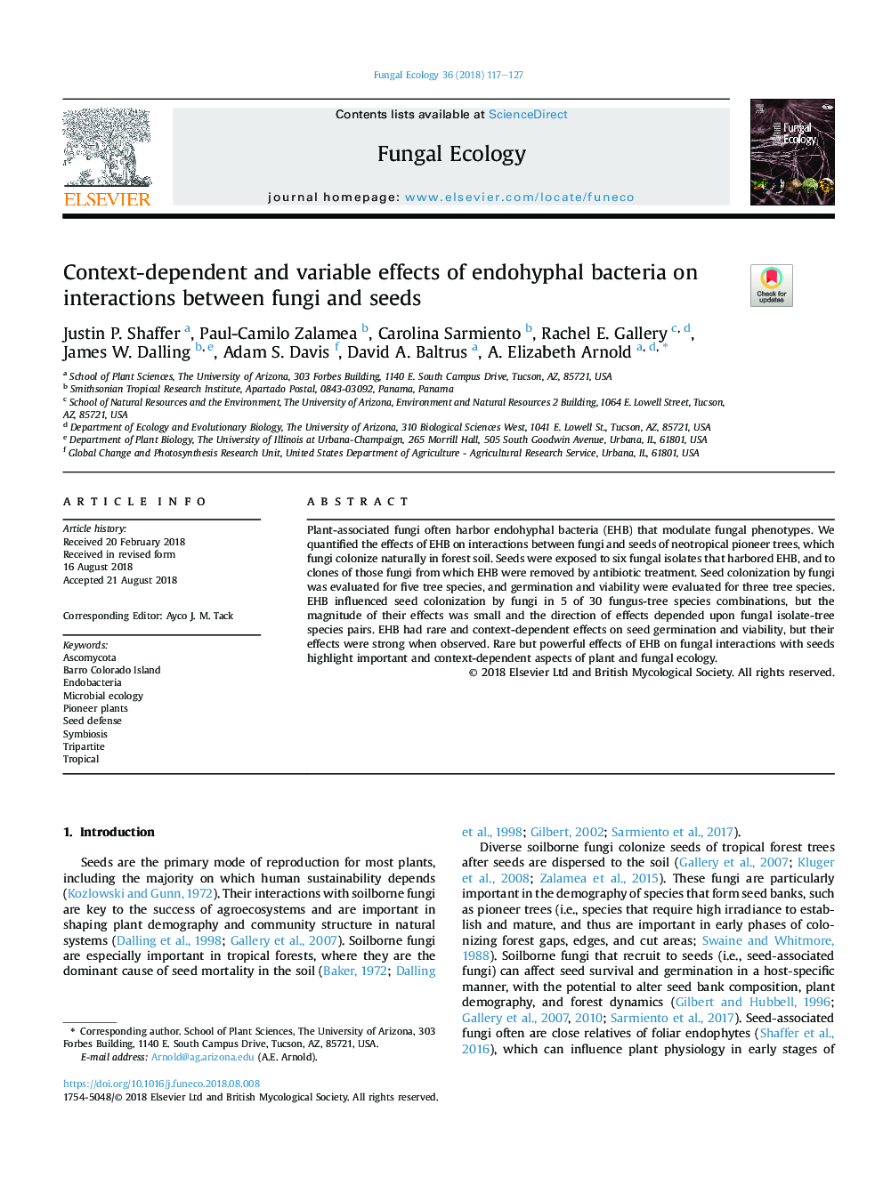 Context-dependent and variable effects of endohyphal bacteria on interactions between fungi and seeds