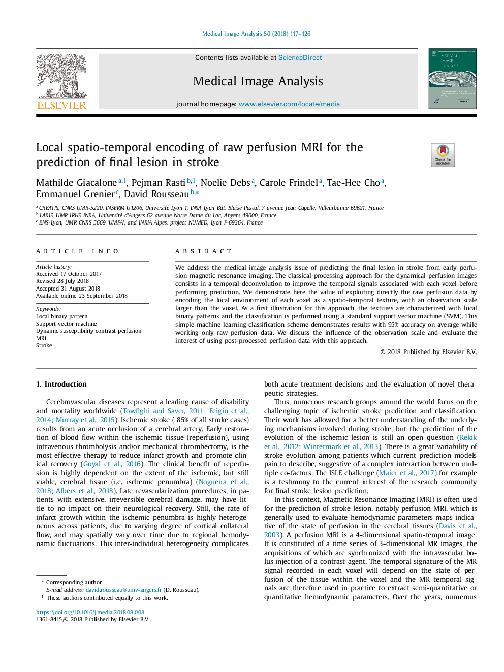 Local spatio-temporal encoding of raw perfusion MRI for the prediction of final lesion in stroke