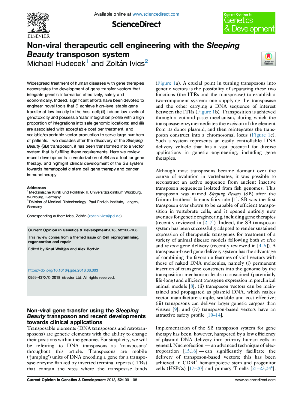 Non-viral therapeutic cell engineering with the Sleeping Beauty transposon system