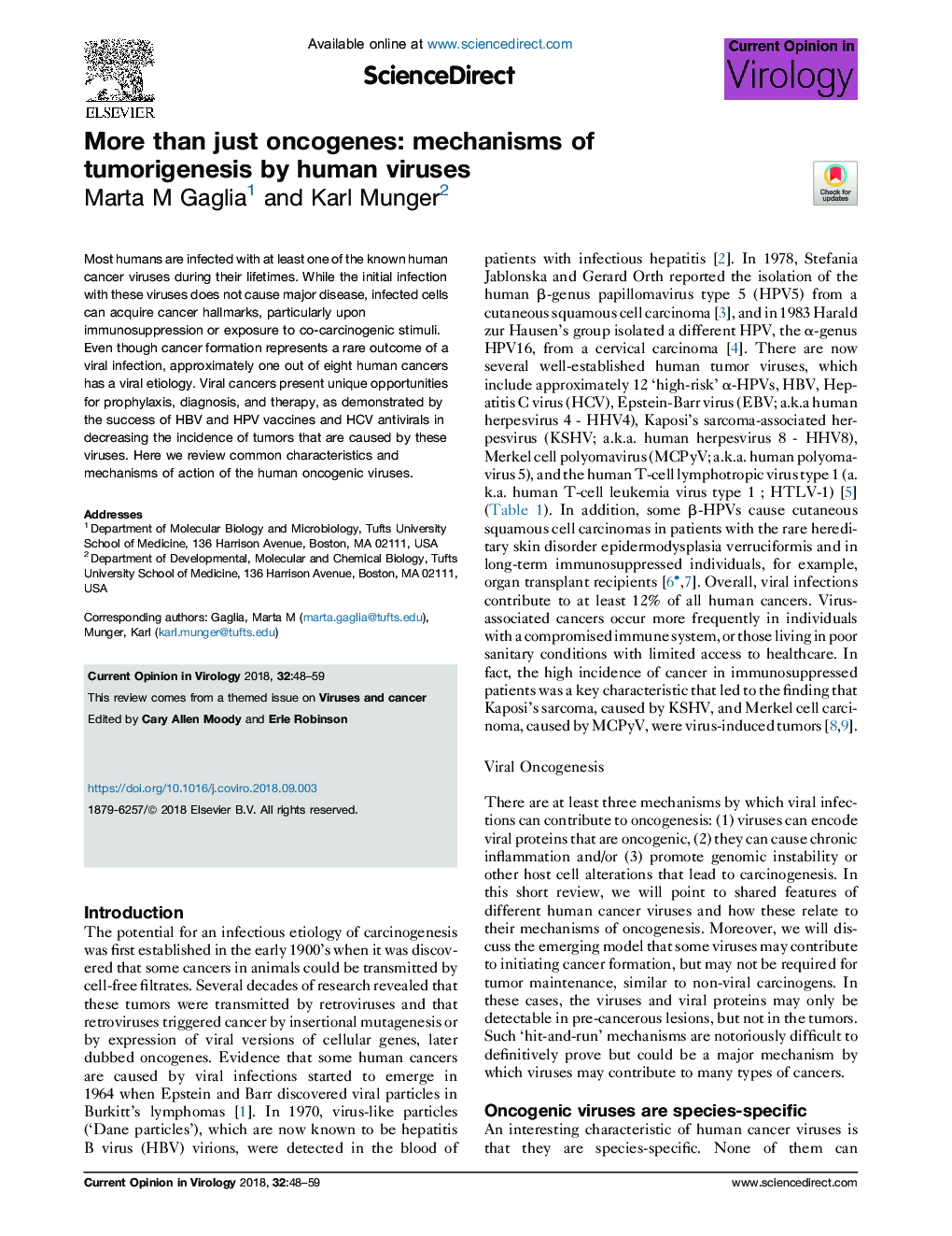 More than just oncogenes: mechanisms of tumorigenesis by human viruses